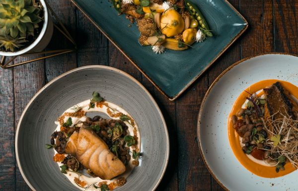 Top 10 restaurants à découvrir pour une expérience culinaire inoubliable